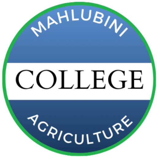 Mahlubini | Agricultural Academy